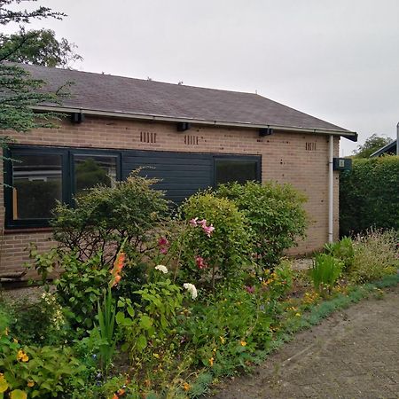 Gemuetliches Ferienhaus An Der Kueste Nordholland Sint Maartenszee Boerenslag 5 Sint Maartensvlotbrug Kültér fotó